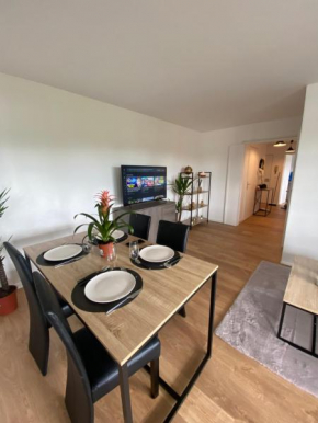 Appartement Manet Netflix